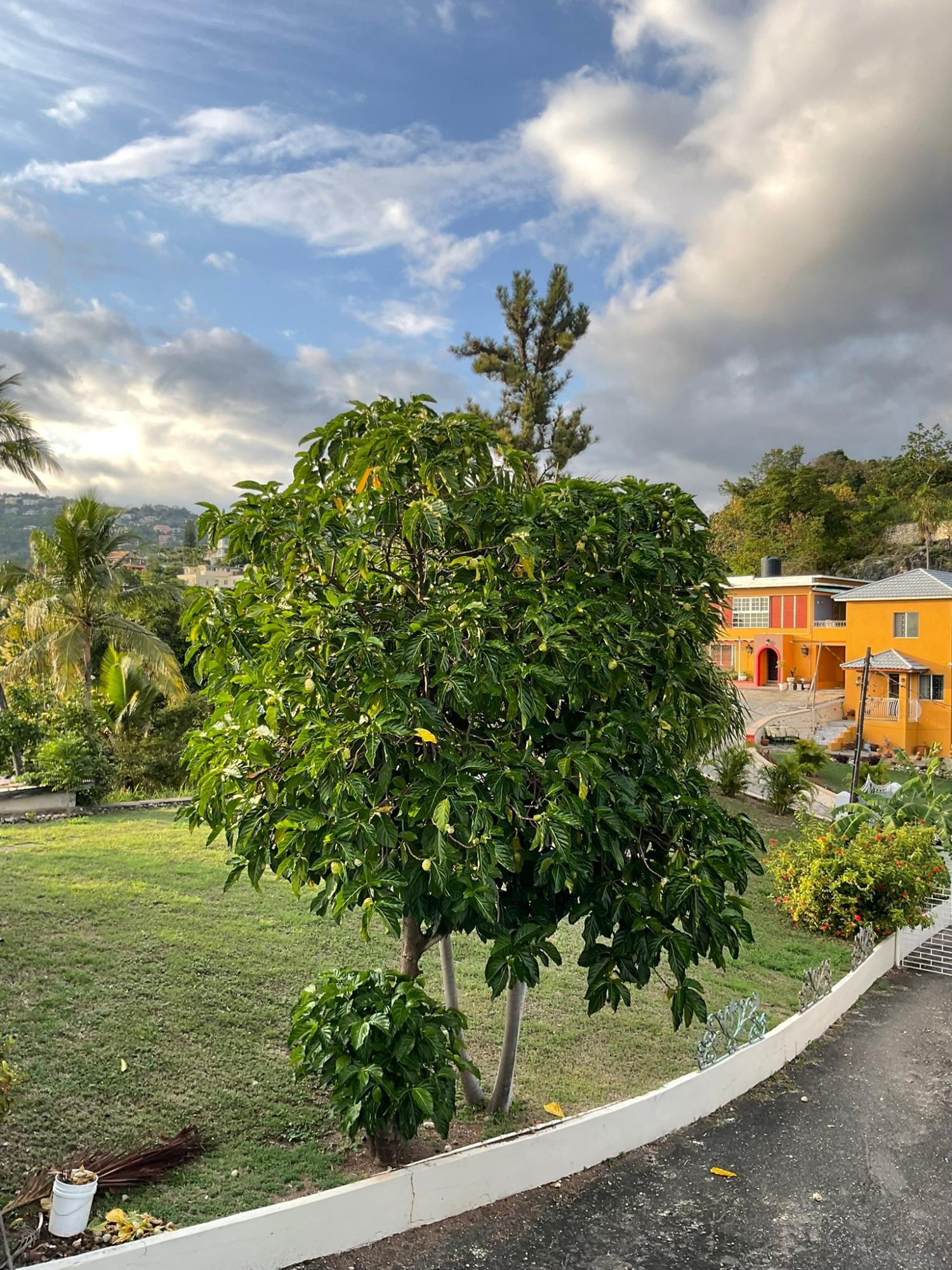 Twenty-Eighth image of Rockhampton Drive in Kingston 8, St. Andrew, Jamaica - property is For Sale