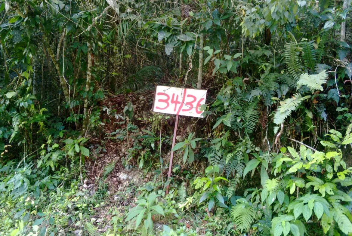 Second image of 34- Sligoville Main Road in Sligoville, St. Catherine, Jamaica - property is For Sale