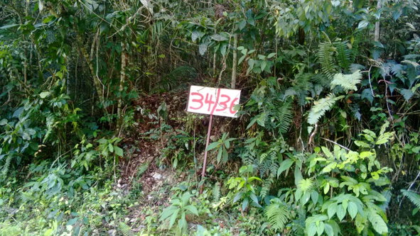 Second image of 34- Sligoville Main Road in Sligoville, St. Catherine, Jamaica - property is For Sale