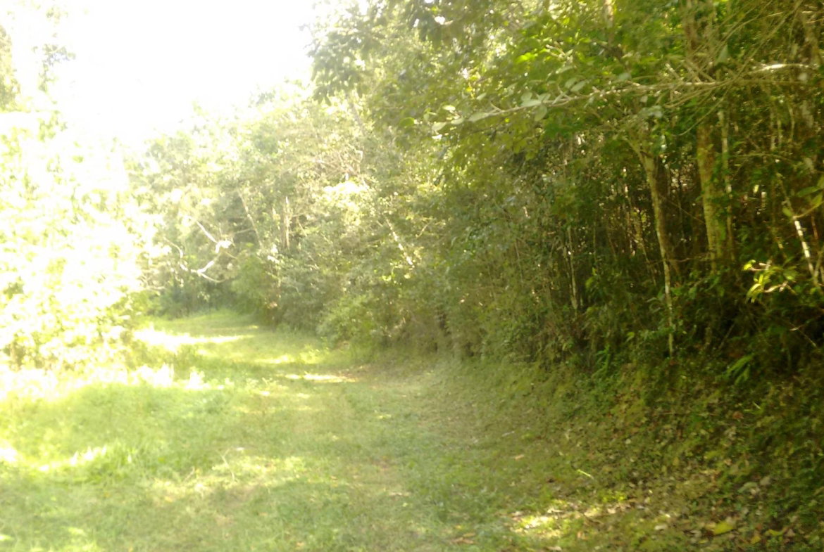 First image of 34- Sligoville Main Road in Sligoville, St. Catherine, Jamaica - property is For Sale