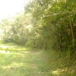 First image of 34- Sligoville Main Road in Sligoville, St. Catherine, Jamaica - property is For Sale