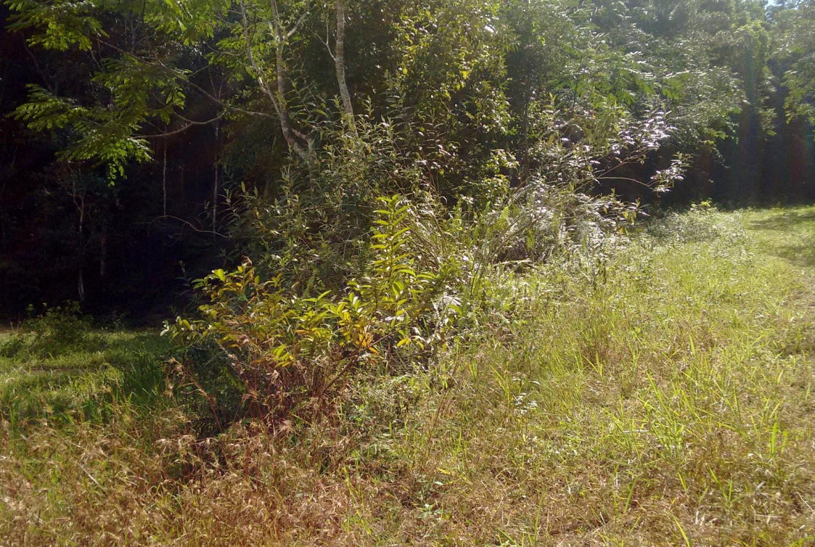 Third image of 34- Sligoville Main Road in Sligoville, St. Catherine, Jamaica - property is For Sale