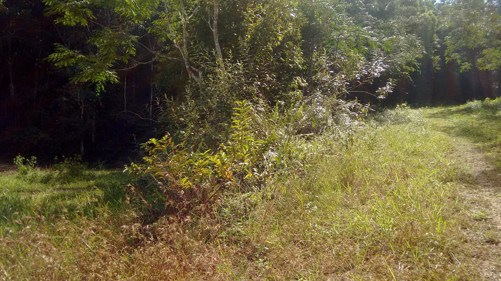 Stunning-7.4-Acre-Residential-Lot-for-Sale-in-Sligoville-St.-Catherine-Jamaica Third image of 34- Sligoville Main Road in Sligoville, St. Catherine, Jamaica - property is For Sale