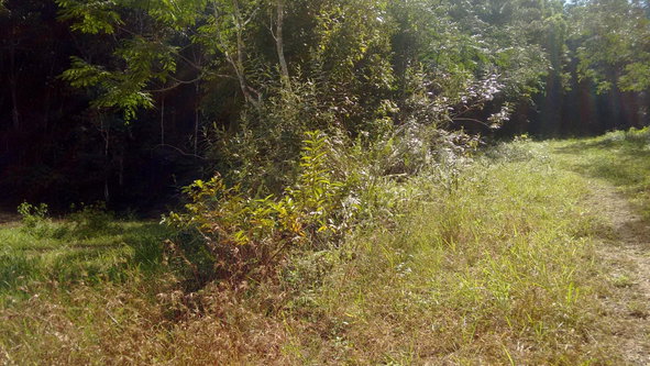 Third image of 34- Sligoville Main Road in Sligoville, St. Catherine, Jamaica - property is For Sale