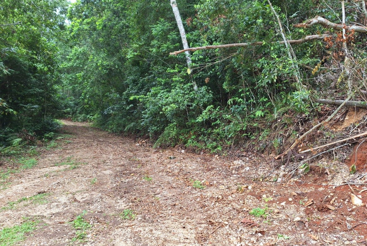 Fourth image of 34- Sligoville Main Road in Sligoville, St. Catherine, Jamaica - property is For Sale