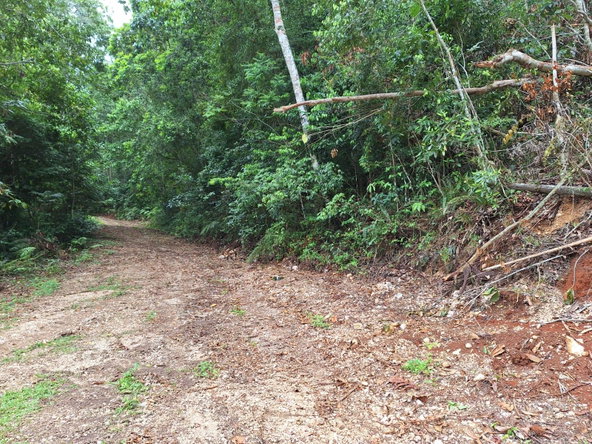 Fourth image of 34- Sligoville Main Road in Sligoville, St. Catherine, Jamaica - property is For Sale