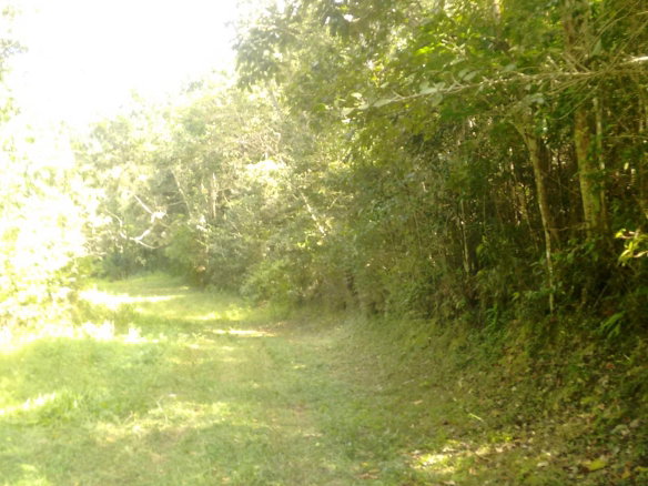 First image of 34- Sligoville Main Road in Sligoville, St. Catherine, Jamaica - property is For Sale