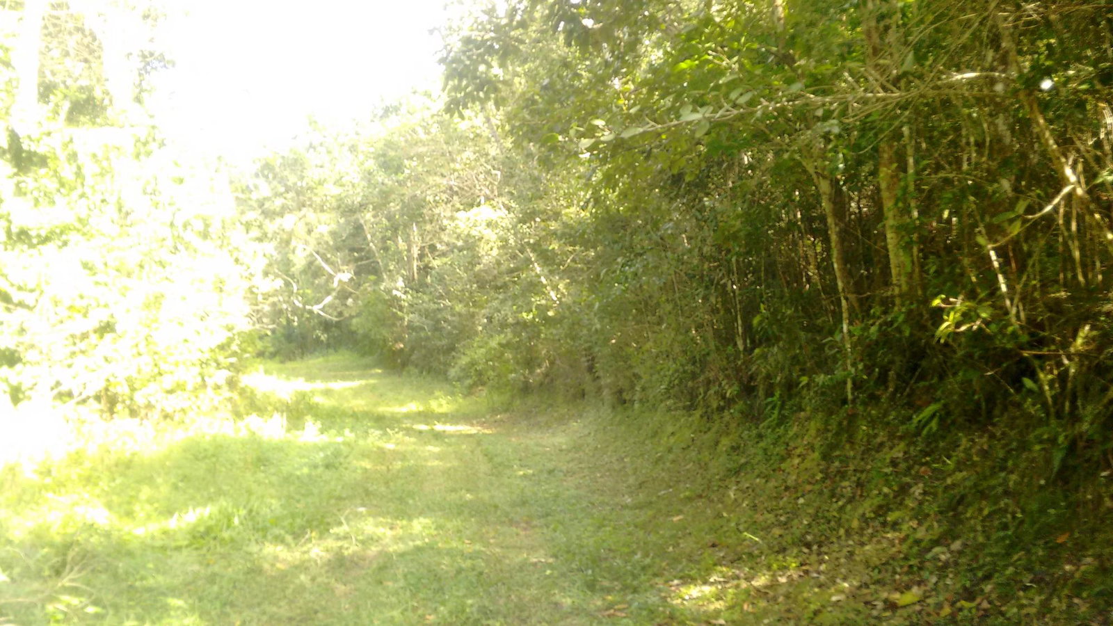 Stunning-7.4-Acre-Residential-Lot-for-Sale-in-Sligoville-St.-Catherine-Jamaica First image of 34- Sligoville Main Road in Sligoville, St. Catherine, Jamaica - property is For Sale