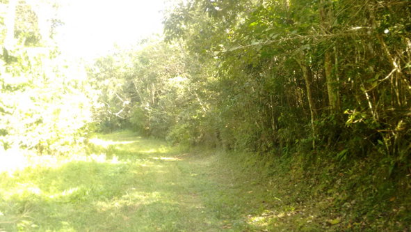 First image of 34- Sligoville Main Road in Sligoville, St. Catherine, Jamaica - property is For Sale