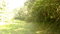 First image of 34- Sligoville Main Road in Sligoville, St. Catherine, Jamaica - property is For Sale