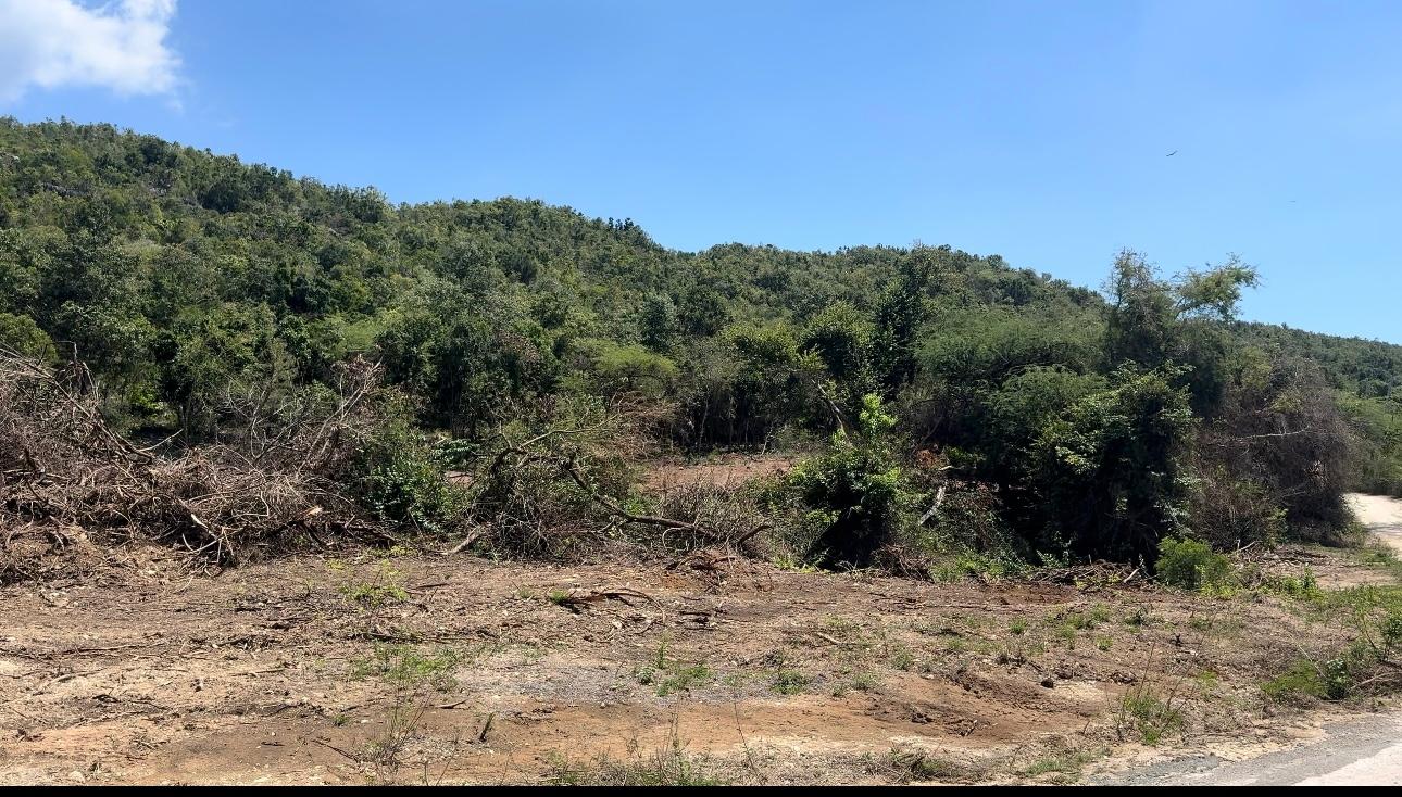 Third image of 95 Fort Charles & Caijan in Fort Charles, St. Elizabeth, Jamaica - property is For Sale
