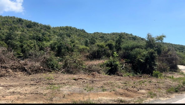 Third image of 95 Fort Charles & Caijan in Fort Charles, St. Elizabeth, Jamaica - property is For Sale