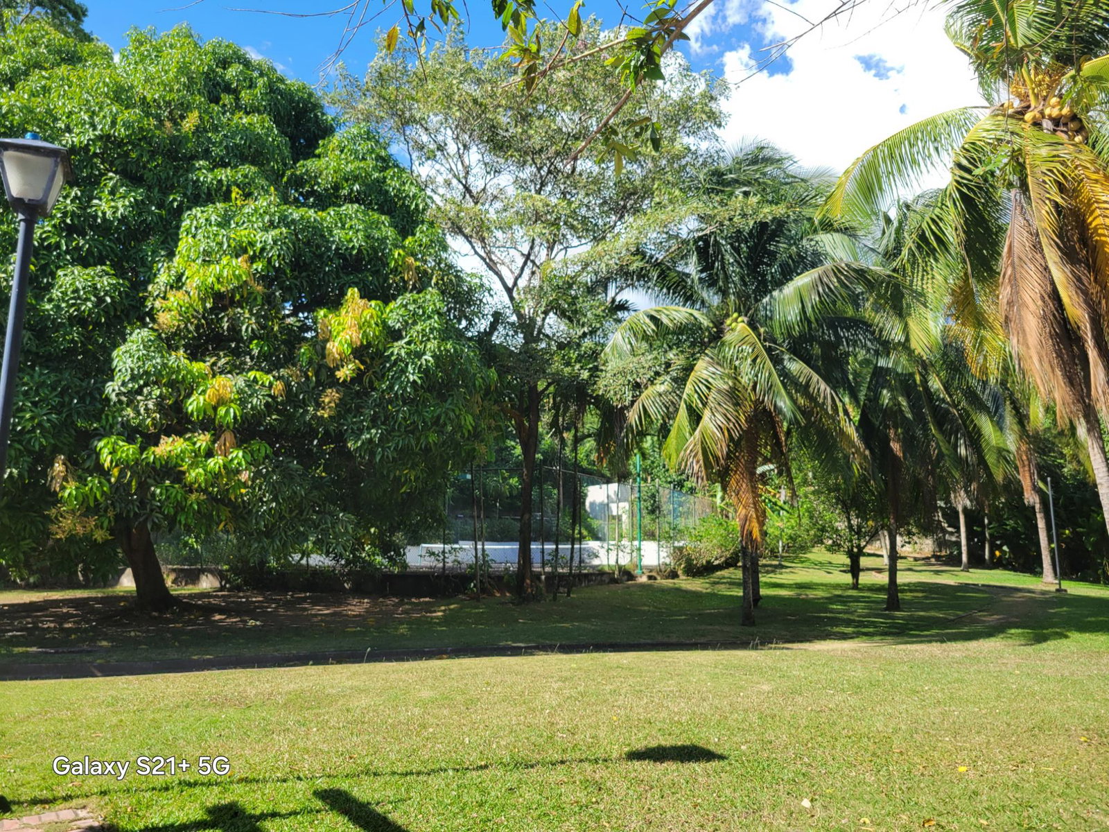 Seventh image of 26-13a Norbrook Road in Kingston 8, St. Andrew, Jamaica - property is For Rent