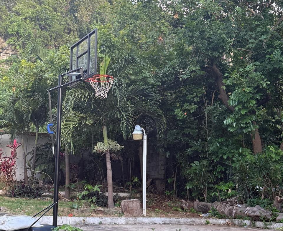 Nineteenth image of 1 Forest Hills in Kingston 19, St. Andrew, Jamaica - property is For Sale