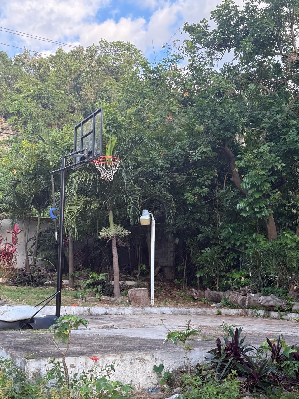 Nineteenth image of 1 Forest Hills in Kingston 19, St. Andrew, Jamaica - property is For Sale