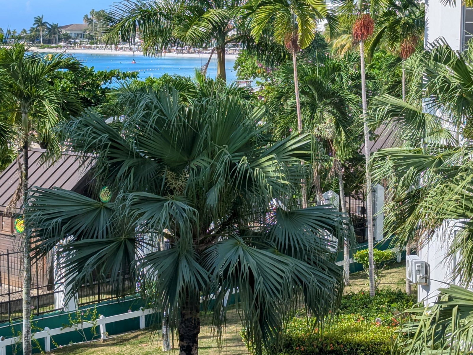 Twenty-First image of d 25 Sandcastles Ocho Rios in Ocho Rios, St. Ann, Jamaica - property is For Sale