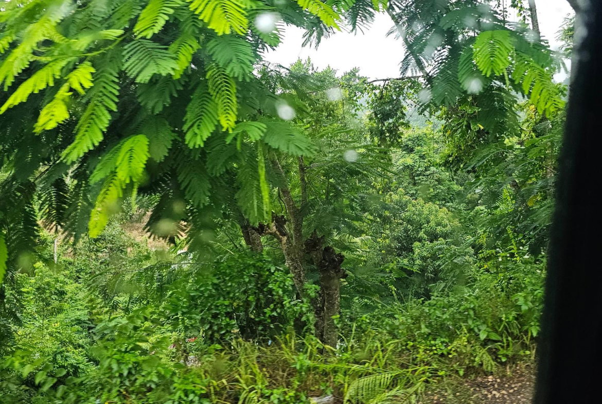 Second image of Matthew Hall in Browns Town, St. Ann, Jamaica - property is For Sale