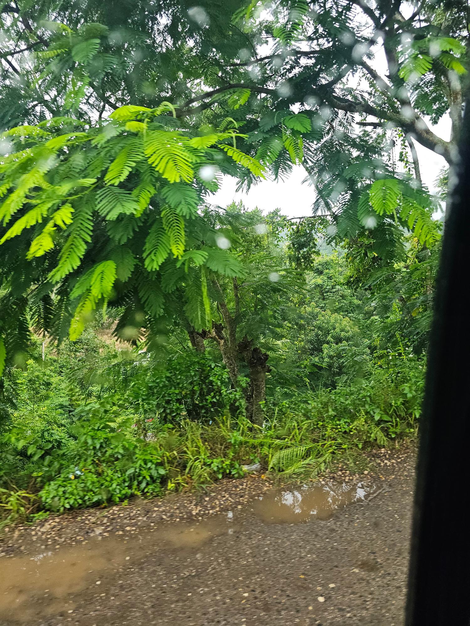 Second image of Matthew Hall in Browns Town, St. Ann, Jamaica - property is For Sale