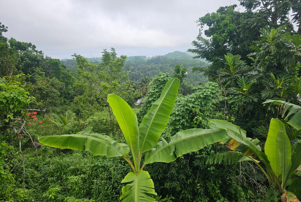 Eleventh image of Matthew Hall in Browns Town, St. Ann, Jamaica - property is For Sale