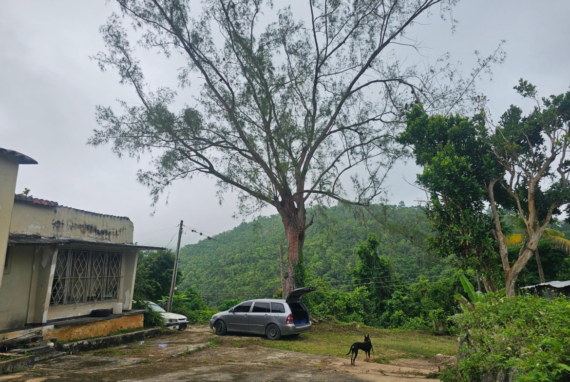 Thirteenth image of Matthew Hall in Browns Town, St. Ann, Jamaica - property is For Sale