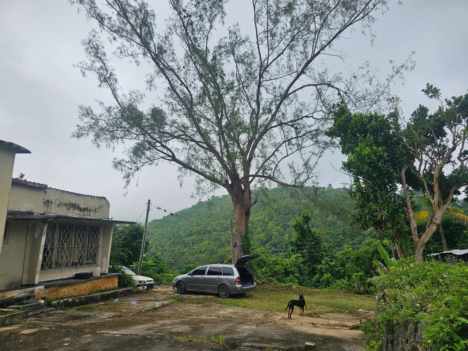 Thirteenth image of Matthew Hall in Browns Town, St. Ann, Jamaica - property is For Sale