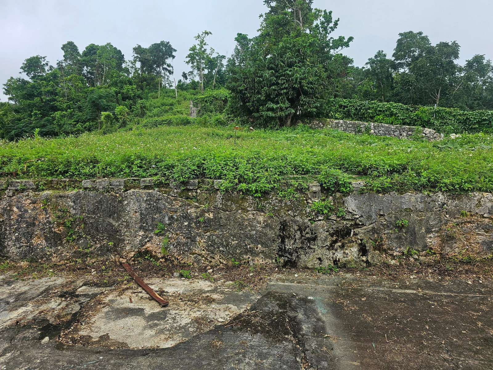 Fifteenth image of Matthew Hall in Browns Town, St. Ann, Jamaica - property is For Sale