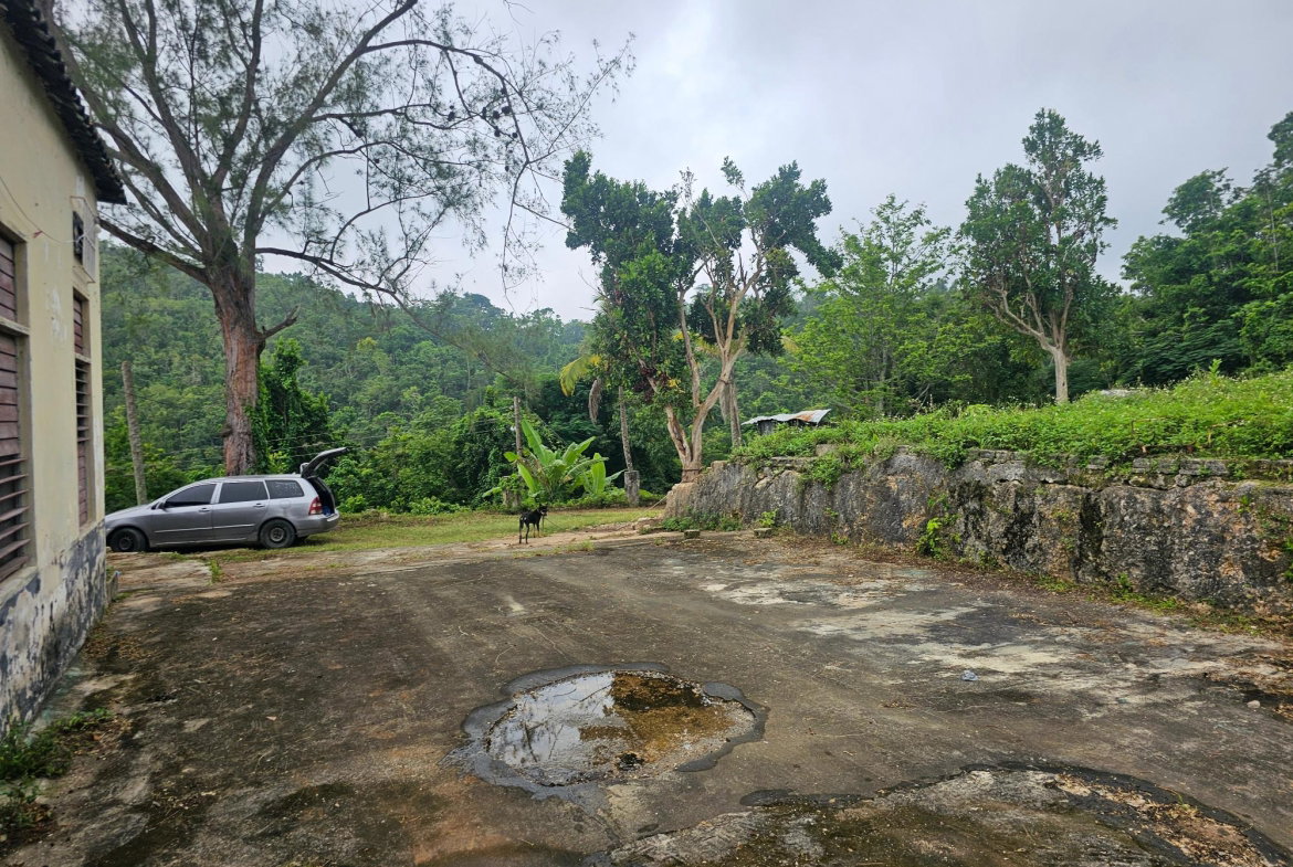 Seventeenth image of Matthew Hall in Browns Town, St. Ann, Jamaica - property is For Sale