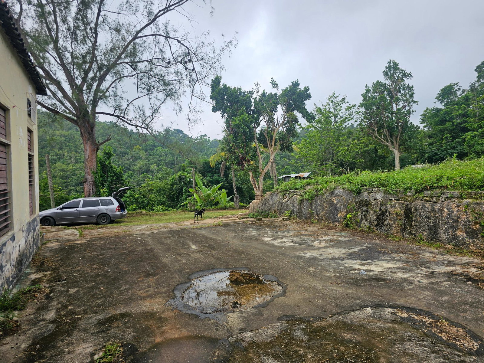 Seventeenth image of Matthew Hall in Browns Town, St. Ann, Jamaica - property is For Sale