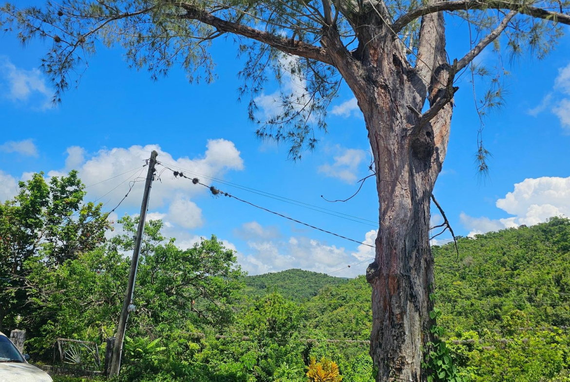 Eighteenth image of Matthew Hall in Browns Town, St. Ann, Jamaica - property is For Sale