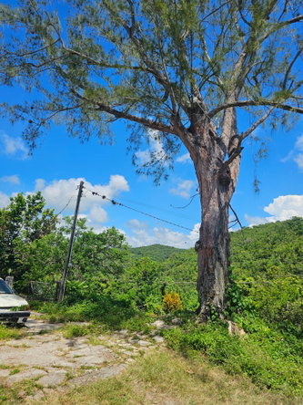 Eighteenth image of Matthew Hall in Browns Town, St. Ann, Jamaica - property is For Sale
