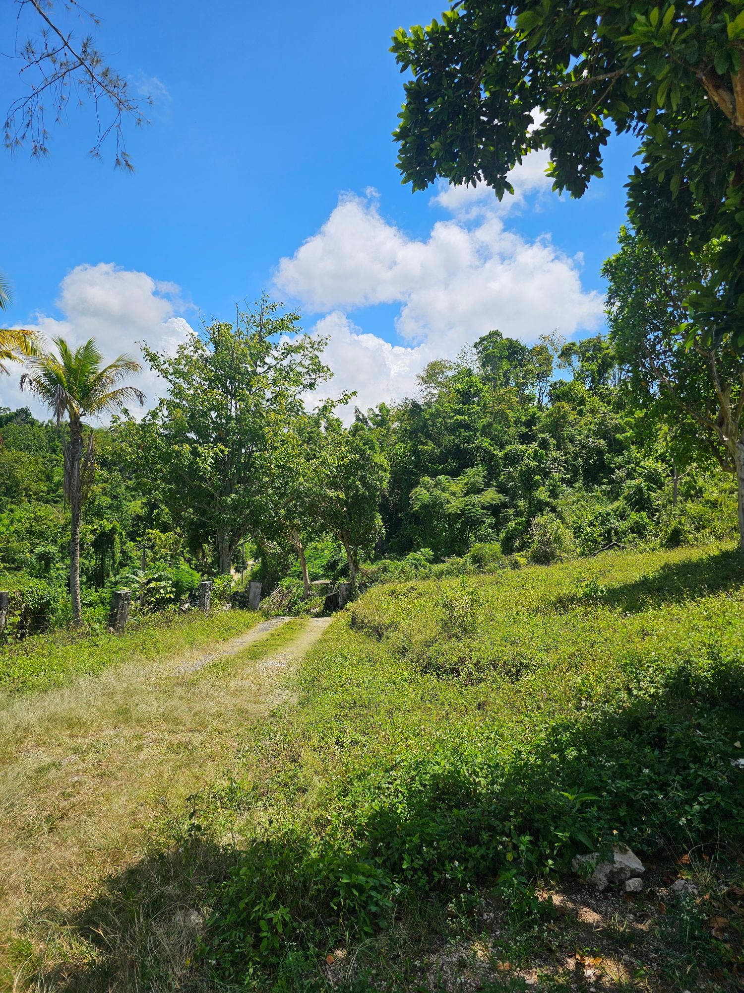 Nineteenth image of Matthew Hall in Browns Town, St. Ann, Jamaica - property is For Sale