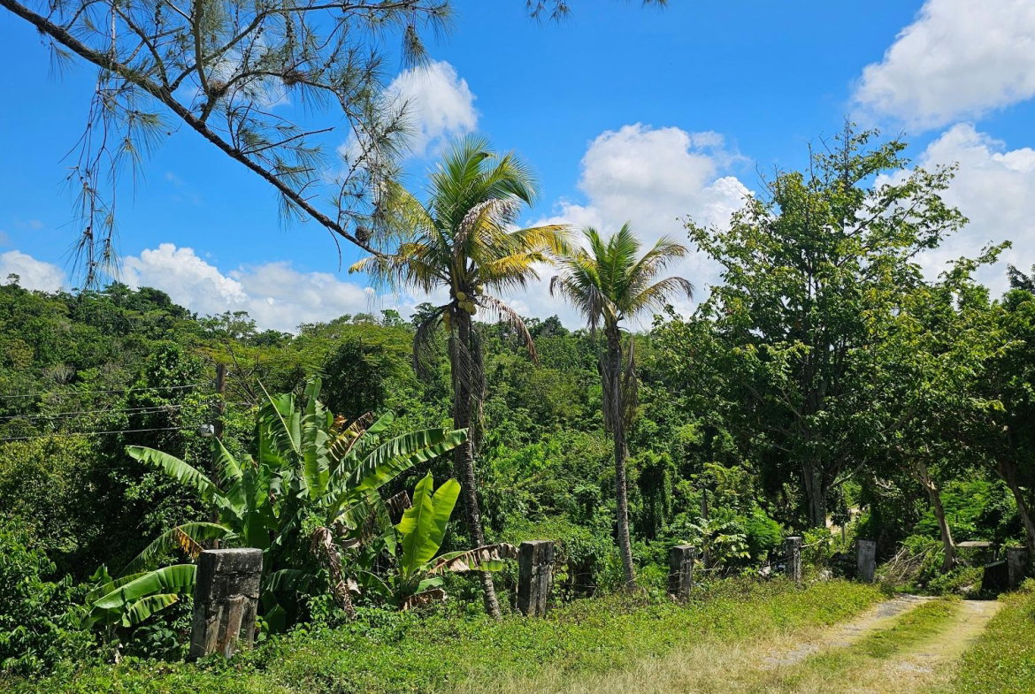 Twentieth image of Matthew Hall in Browns Town, St. Ann, Jamaica - property is For Sale