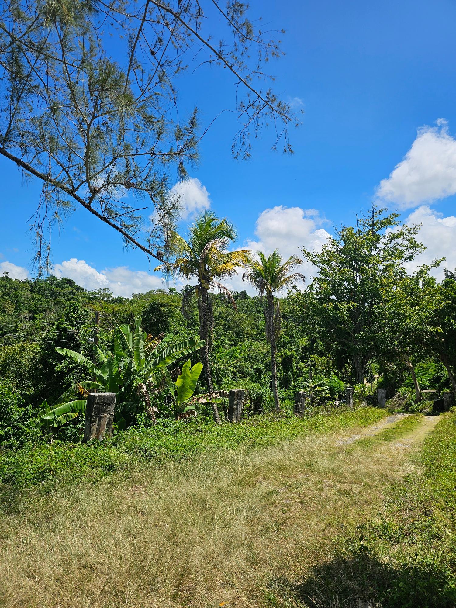 Twentieth image of Matthew Hall in Browns Town, St. Ann, Jamaica - property is For Sale