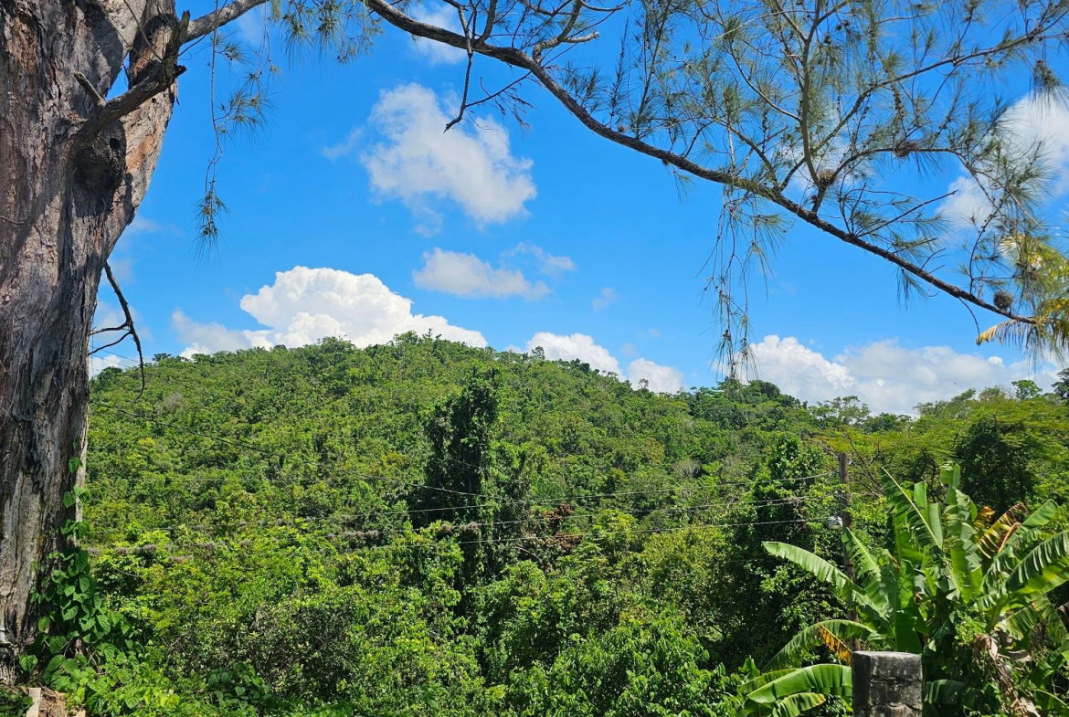 Twenty-First image of Matthew Hall in Browns Town, St. Ann, Jamaica - property is For Sale