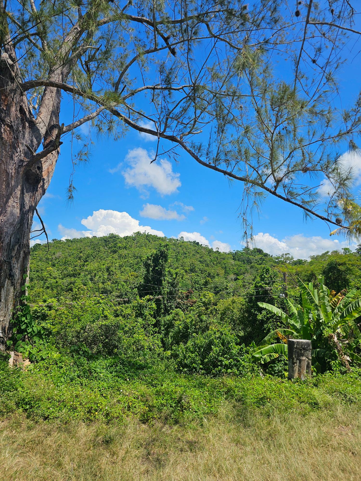 Twenty-First image of Matthew Hall in Browns Town, St. Ann, Jamaica - property is For Sale