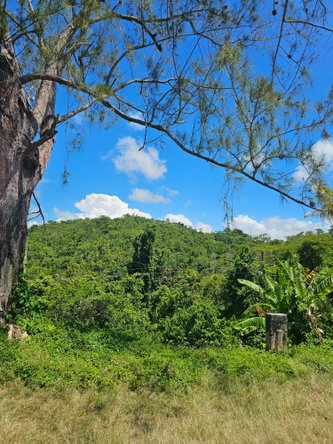 Twenty-First image of Matthew Hall in Browns Town, St. Ann, Jamaica - property is For Sale