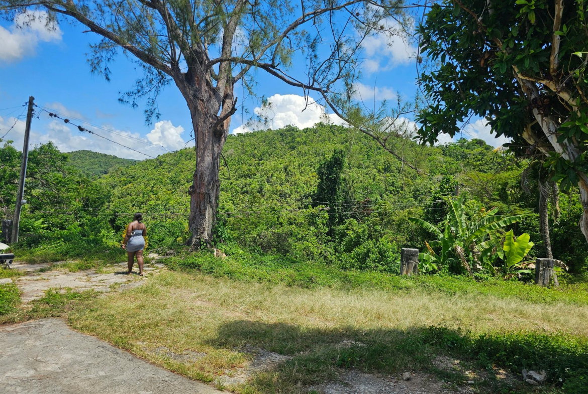 Twenty-Sixth image of Matthew Hall in Browns Town, St. Ann, Jamaica - property is For Sale