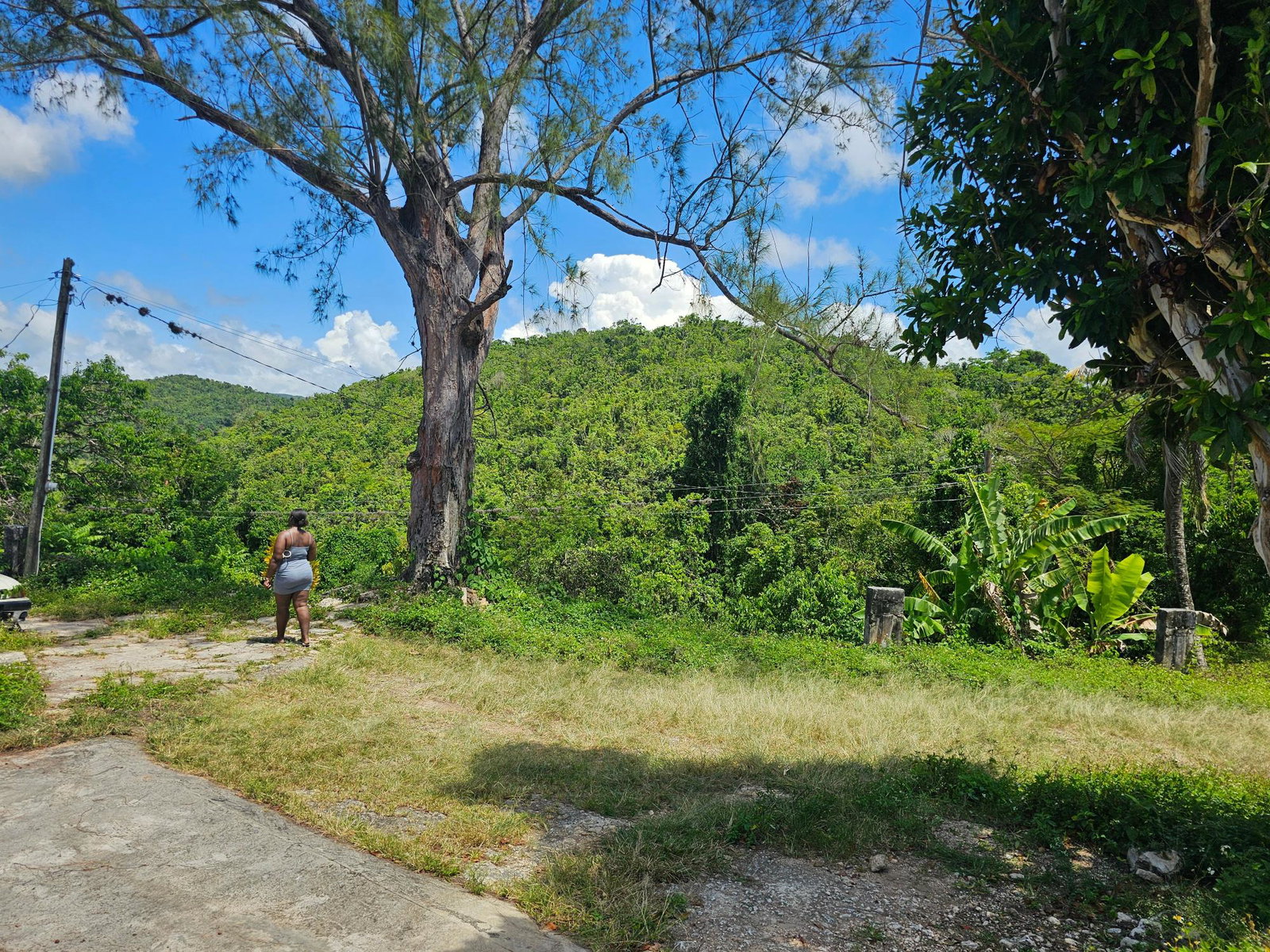 Twenty-Sixth image of Matthew Hall in Browns Town, St. Ann, Jamaica - property is For Sale