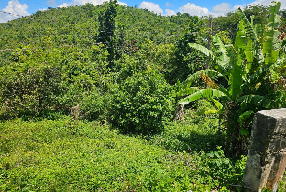 Twenty-Seventh image of Matthew Hall in Browns Town, St. Ann, Jamaica - property is For Sale