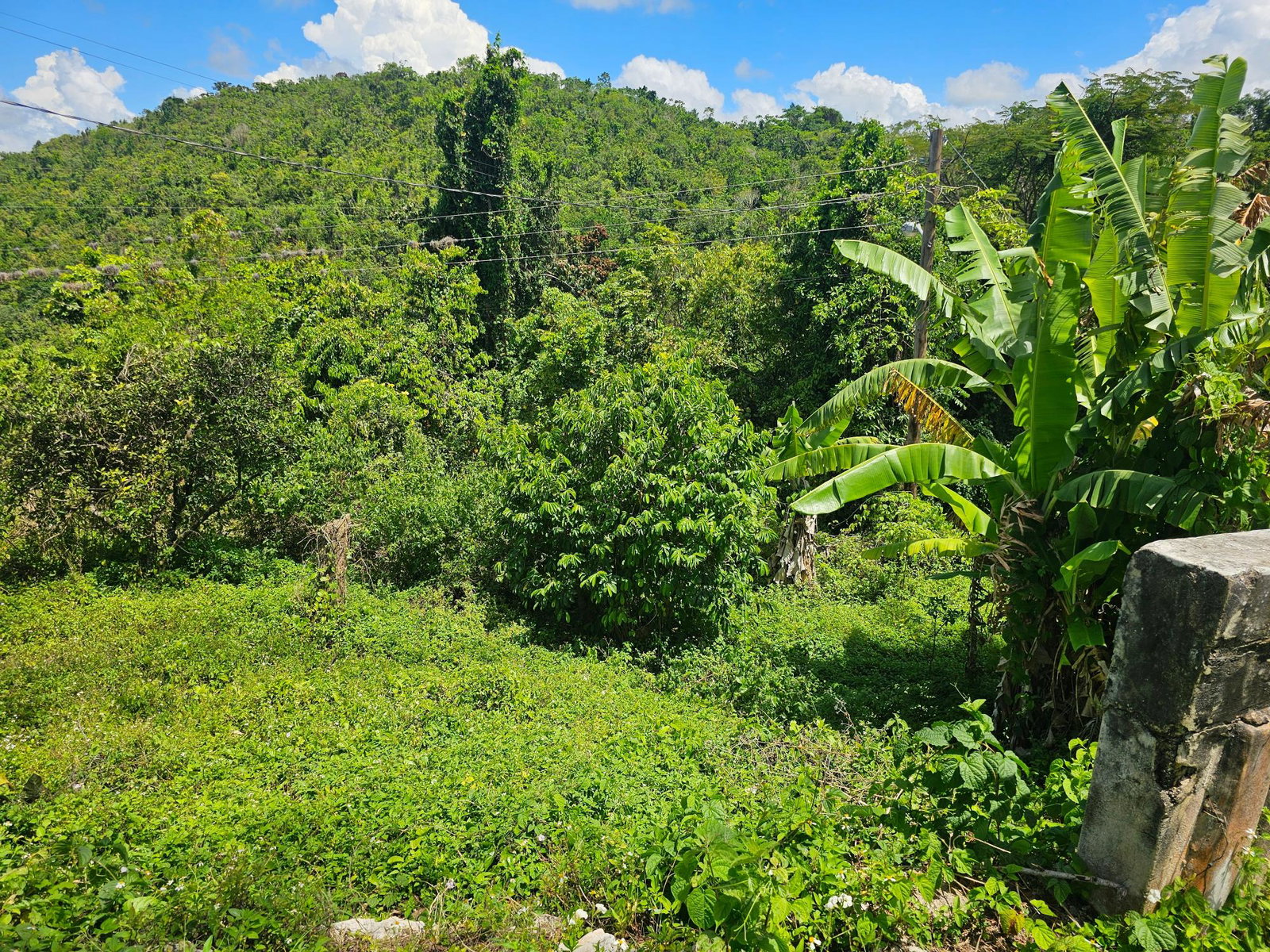 Twenty-Seventh image of Matthew Hall in Browns Town, St. Ann, Jamaica - property is For Sale