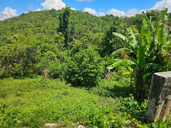 Twenty-Seventh image of Matthew Hall in Browns Town, St. Ann, Jamaica - property is For Sale