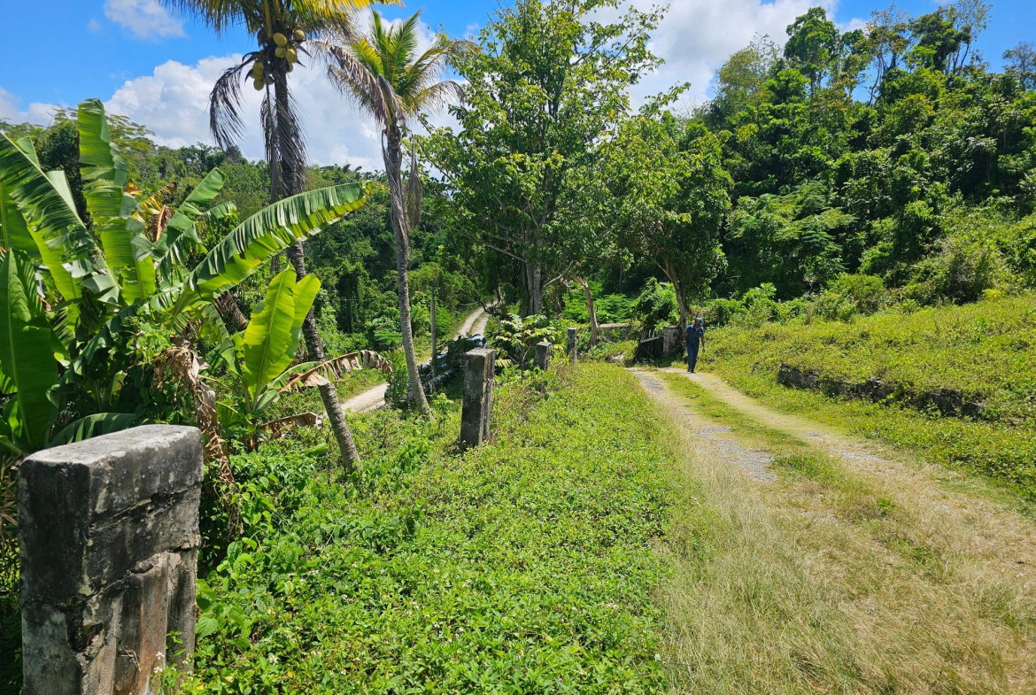 Twenty-Eighth image of Matthew Hall in Browns Town, St. Ann, Jamaica - property is For Sale