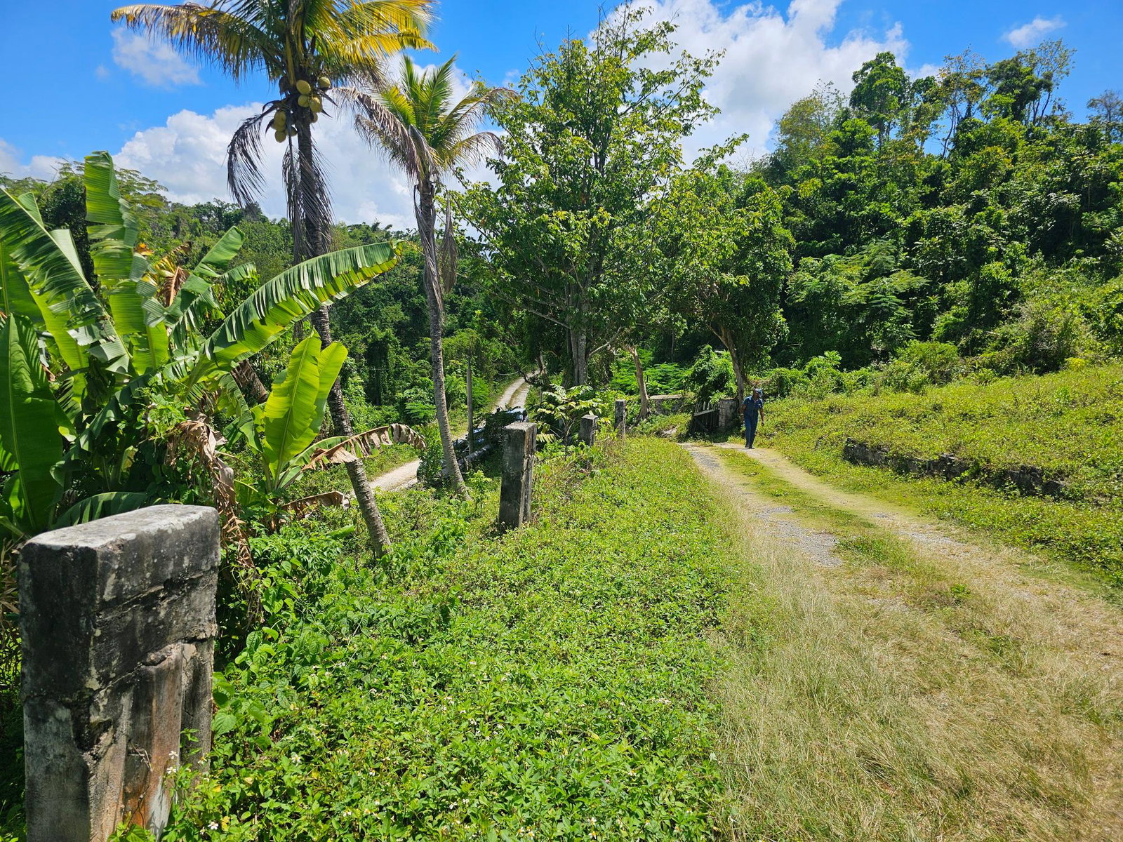 Twenty-Eighth image of Matthew Hall in Browns Town, St. Ann, Jamaica - property is For Sale