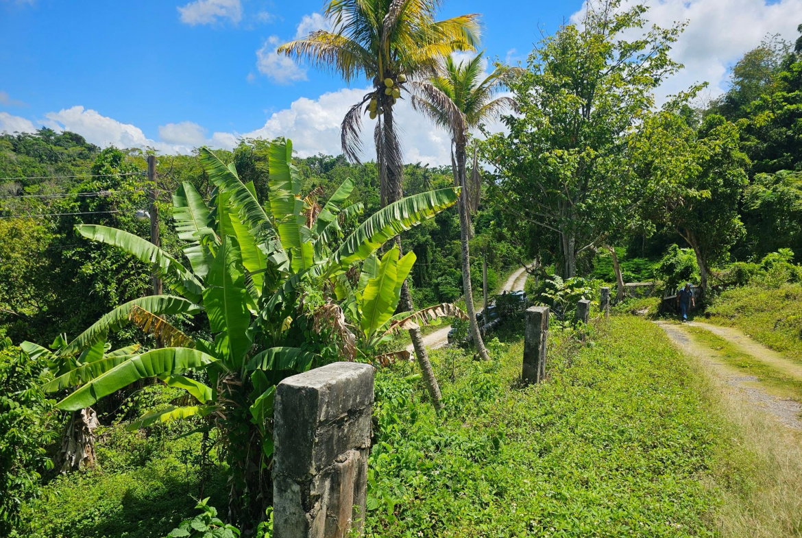 Twenty-Ninth image of Matthew Hall in Browns Town, St. Ann, Jamaica - property is For Sale