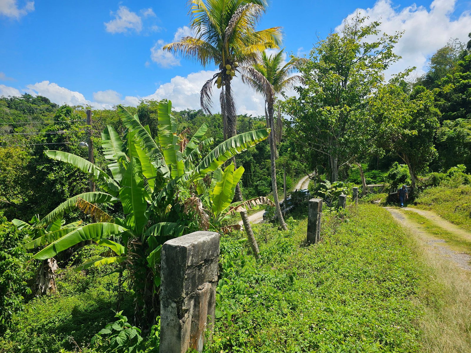 Twenty-Ninth image of Matthew Hall in Browns Town, St. Ann, Jamaica - property is For Sale