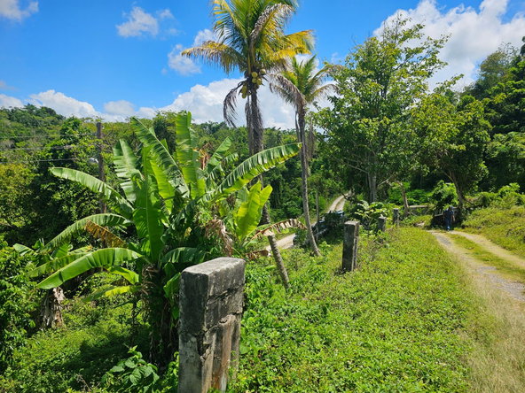 Twenty-Ninth image of Matthew Hall in Browns Town, St. Ann, Jamaica - property is For Sale