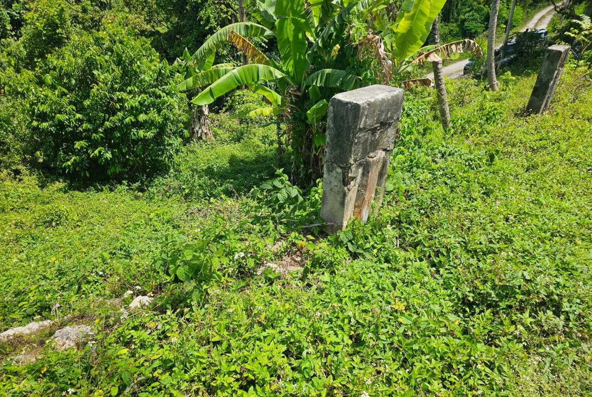 Thirtieth image of Matthew Hall in Browns Town, St. Ann, Jamaica - property is For Sale