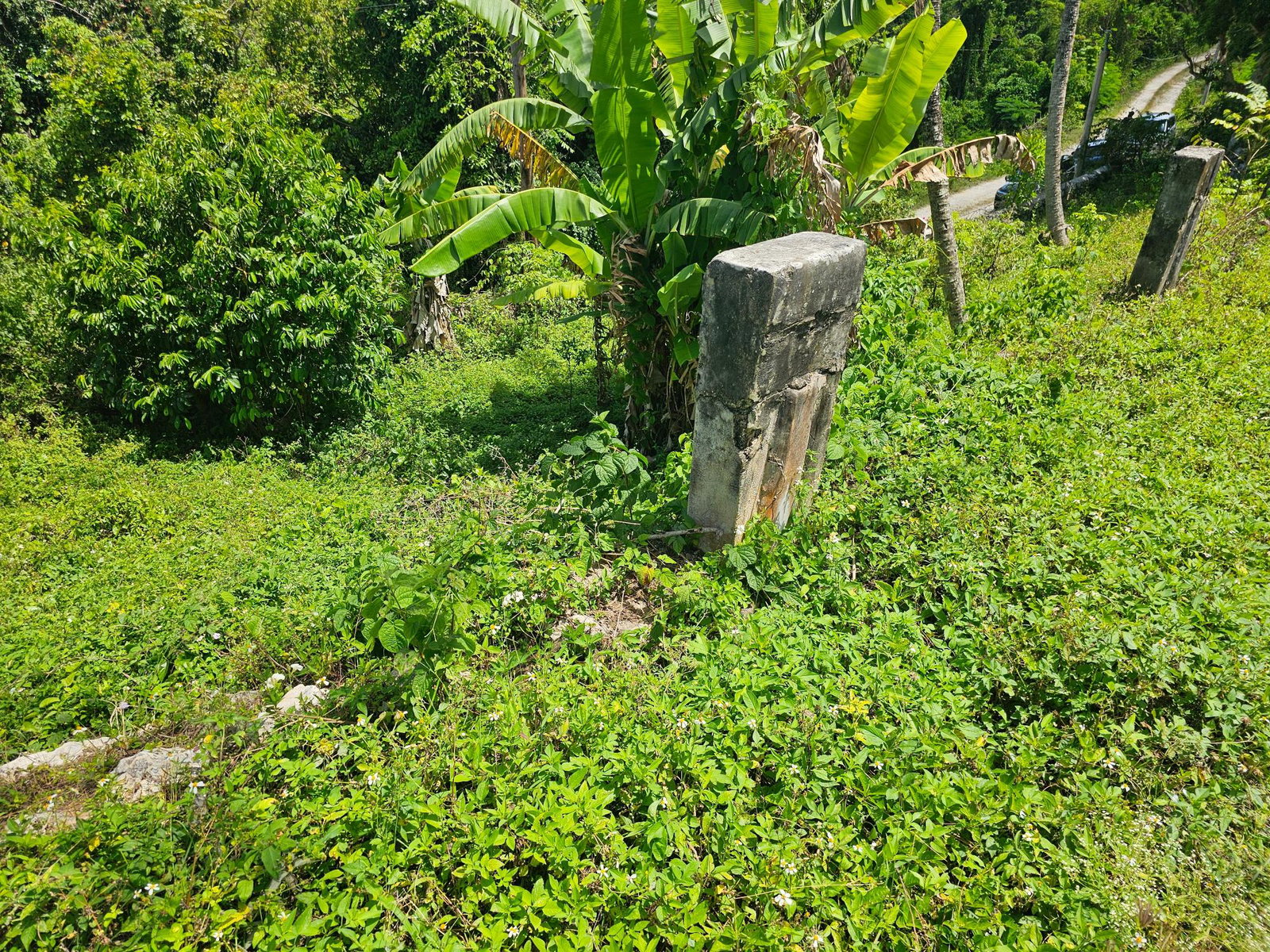 Thirtieth image of Matthew Hall in Browns Town, St. Ann, Jamaica - property is For Sale