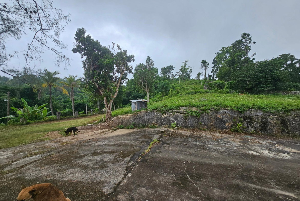 Fourth image of Matthew Hall in Browns Town, St. Ann, Jamaica - property is For Sale