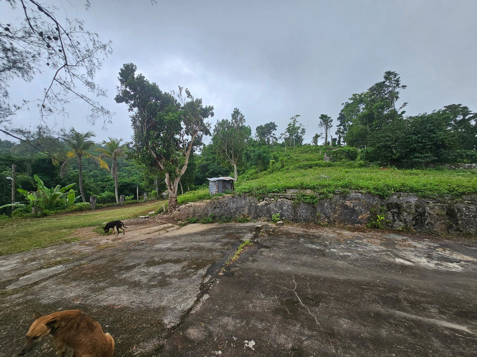 Fourth image of Matthew Hall in Browns Town, St. Ann, Jamaica - property is For Sale